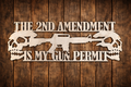 2nd Amendment Skull Sign